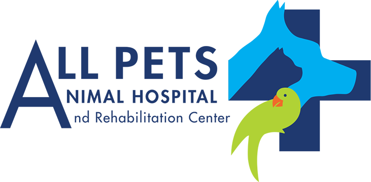 the pet vet on patton asheville nc 28806