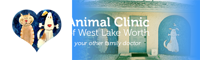 Animal Clinic of West Lake Worth Info & How To Save | Near Lake Worth, FL  33467 | Pawlicy Advisor