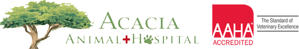 Acacia Animal Hospital Info & How To Save | Near Tucson, AZ 85719 | Pawlicy  Advisor