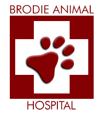 Brodie Animal Hospital Info How To Save Near Austin TX 78745