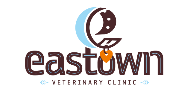 Find Top Veterinarians In Grand Rapids, MI | Savings & Appointment Info |  Vets Near Me | Pawlicy Advisor
